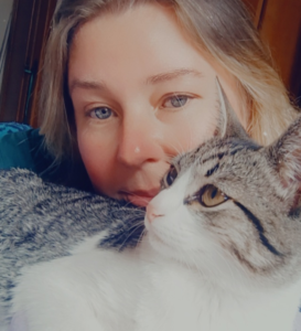 Atendimento de felinos